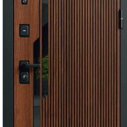 Входная дверь Флекс